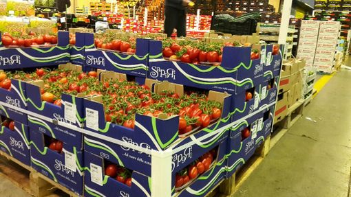 A Torino corso di Orticoltura Biologica A Torino corso di Orticoltura Biologica