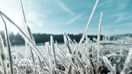 Meteo: dopo il vento, ritorna il gelo sulle pianure del torinese Meteo: dopo il vento, ritorna il gelo sulle pianure del torinese