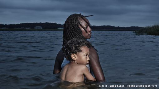 Cinemambiente in streaming per riflettere ancora oggi su cambiamenti climatici ed ecologia