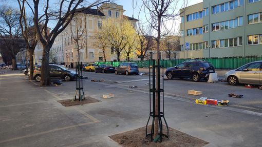 Nuovi alberi nei mercati di corso Svizzera e piazza Barcellona