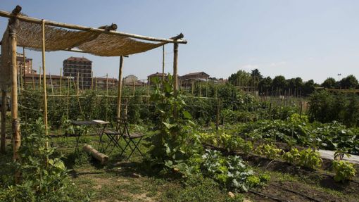 AmbientAzioni 2022, scelto il progetto “Irrigazione responsabile” per gli orti urbani di Mirafiori Sud
