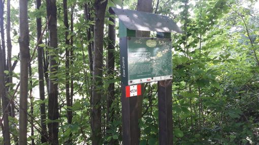 L'estate 2020 di Giaveno all'insegna delle escursioni nel verde della Val Sangone L'estate 2020 di Giaveno all'insegna delle escursioni nel verde della Val Sangone