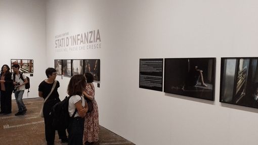 stati generali dell'infanzia cavallerizza
