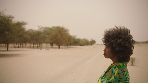 &quot;The Great Green Wall&quot;