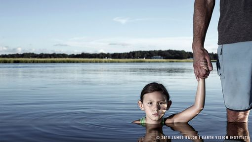 CinemAmbiente, a Torino la proiezione di The Human Element