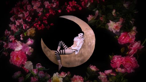 Fish & Chips, un successo di pubblico che conferma Torino città festivaliera del cinema Fish & Chips, un successo di pubblico che conferma Torino città festivaliera del cinema