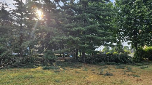 I danni principali a Borgo Nuovo I danni principali a Borgo Nuovo