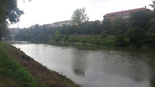 Proseguono fino a metà ottobre gli interventi di pulizia delle alghe ne Po Proseguono fino a metà ottobre gli interventi di pulizia delle alghe ne Po