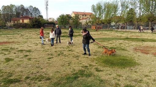 Nichelino, se il proprietario ha il covid è il Comune che si prende cura dell'amico a quattro zampe