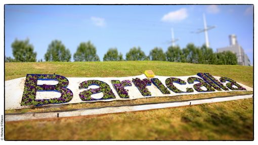 credits Michele D'Ottavio