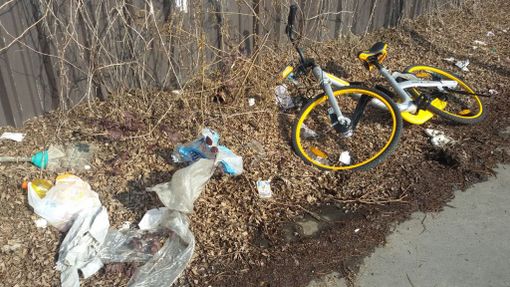 Ancora bici "free" abbandonate: questa volta in via Reiss Romoli in mezzo all'immondizia Ancora bici "free" abbandonate: questa volta in via Reiss Romoli in mezzo all'immondizia