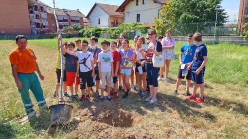 bosco delle quinte a venaria bosco delle quinte a venaria