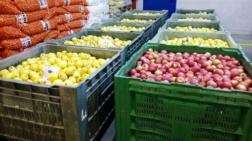 Coldiretti Piemonte: &quot;La follia dell'Ue mette in ginocchio l'export della frutta: a rischio 500 milioni