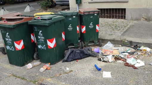 Aurora, via Aosta resta un wc per cani e il simbolo dell'inciviltà umana Aurora, via Aosta resta un wc per cani e il simbolo dell'inciviltà umana