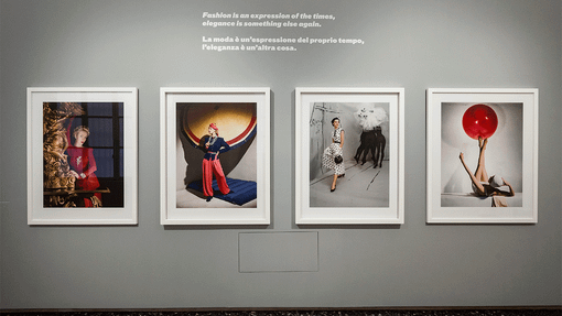 Camera festeggia San Giovanni con l'ingresso gratuito per tutta la giornata Camera festeggia San Giovanni con l'ingresso gratuito per tutta la giornata