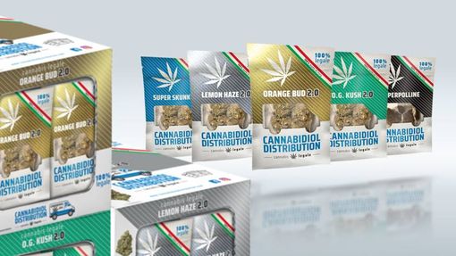 Cannabidiol Distribution, una realtà economica ai vertici della distribuzione della Cannabis light in Italia Cannabidiol Distribution, una realtà economica ai vertici della distribuzione della Cannabis light in Italia