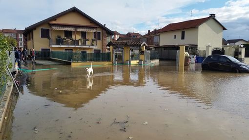 Moncalieri, storie di post alluvione: dopo due mesi di nuovo a casa, ma i problemi restano