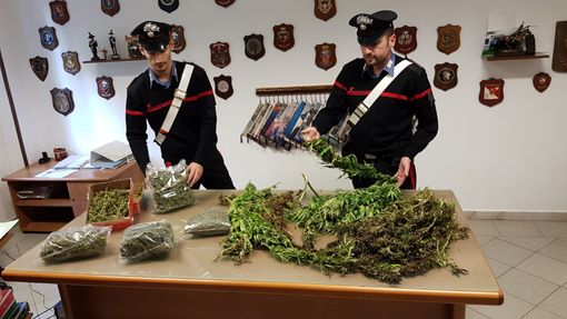 Immagine di repertorio