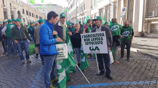 Gli agricoltori piemontesi manifestano a Roma. Cia: "Non toglieteci il futuro"