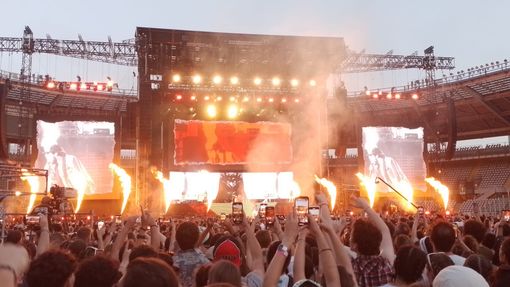 tutti pazzi per i pinguini