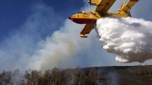 Segnalazione di un lettore: incendio boschivo a Lanzo Torinese