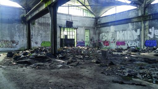 Moncalieri, terminata la pulizia all'interno dell'ex Firsat
