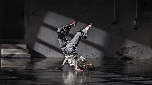 Gala per la Giornata internazionale della Danza Gala per la Giornata internazionale della Danza