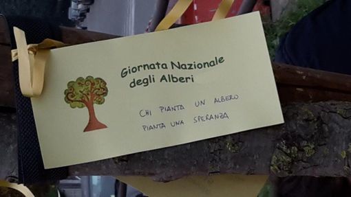 Il 21 novembre a Chivasso la "festa dell’albero"