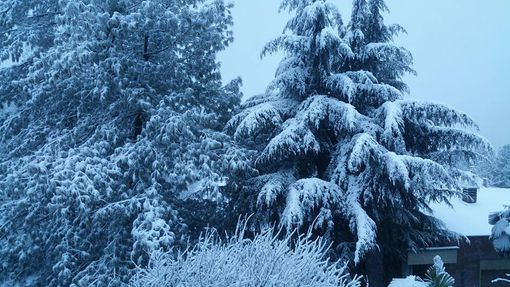 Neve in collina a Chivasso