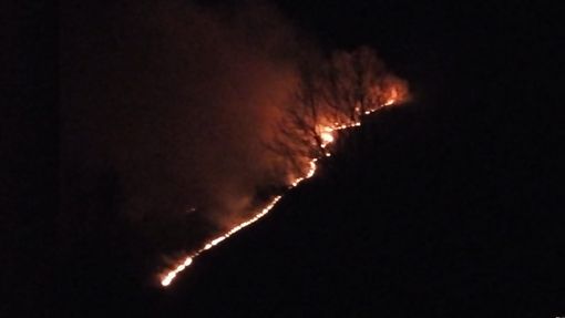 Brucia ancora la provincia di Torino: in fiamme anche i boschi in val di Lanzo [FOTO]