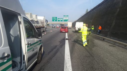Incidente sulla tangenziale Sud: ferita una donna