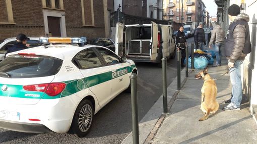 Grazie all'intervento di un cittadino, messi in fuga i ladri e recuperato veicolo rubato Grazie all'intervento di un cittadino, messi in fuga i ladri e recuperato veicolo rubato