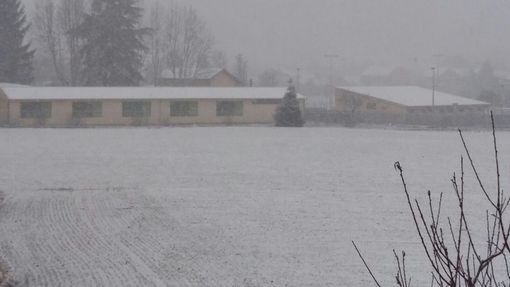 Neve, Coldiretti Piemonte: "Boccata d'ossigeno contro la siccità, ma attenzione alla colture per il gelo"