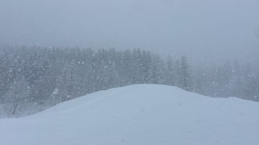 Pericolo valanghe: bloccata la circolazione sulle Sp 169 di Prali e Sp 170 di Massello Pericolo valanghe: bloccata la circolazione sulle Sp 169 di Prali e Sp 170 di Massello