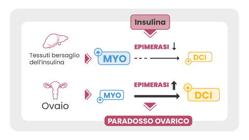 Myo-Inositolo e D-Chiro-inositolo 40:1, assunzione e benefici a partire dall’ambito ginecologico