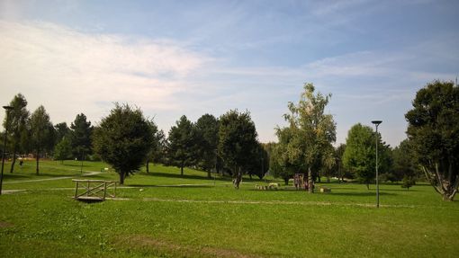 A Grugliasco tornano gli appuntamenti con Rigeneriamo i parchi A Grugliasco tornano gli appuntamenti con Rigeneriamo i parchi
