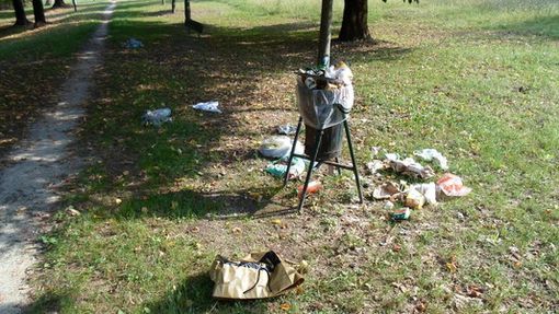Rifiuti al parco