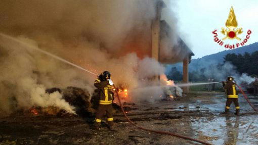 Immagine d'archivio di un vigile del fuoco in azione
