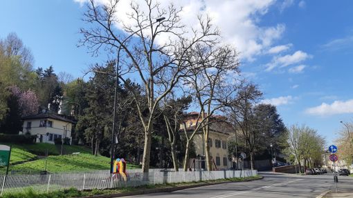 Corso Lanza chiuso per lavori, stop al traffico fino all’8 agosto