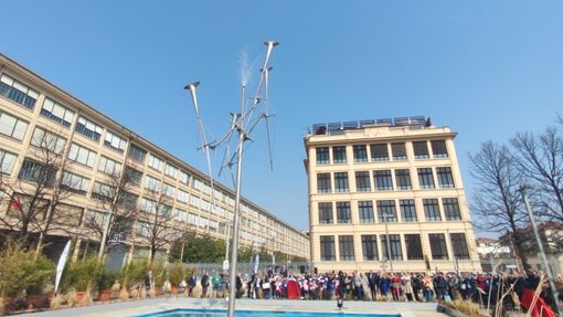 fontana 'Locus of rain' fontana 'Locus of rain'