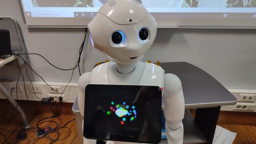 robotica robotica