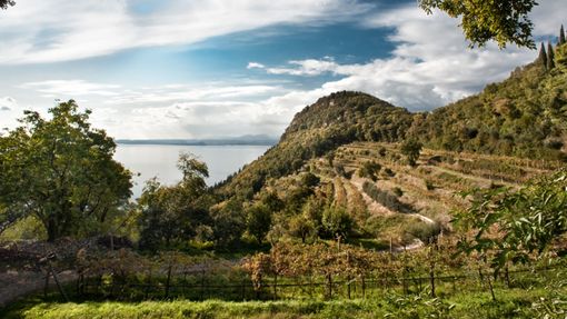 Cerca di scattare una foto e cade nel dirupo a Rocca del Garda