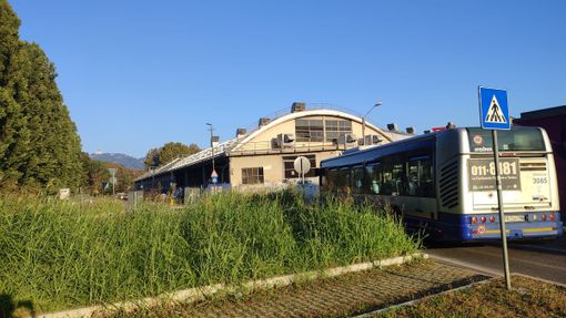 Vanchiglia, quando la rotonda diventa una “foresta” la visibilità scarseggia