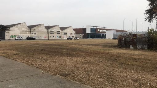 Parella, finalmente sfalciato il prato di via Madonna delle Salette. Il Comitato Salviamo i Prati: “Diventi parco urbano”