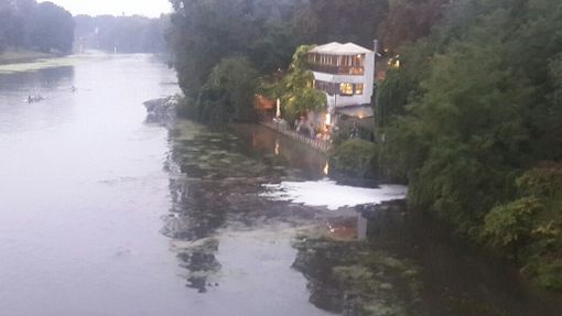 Dopo le alghe, nel Po arriva la schiuma bianca (FOTO)