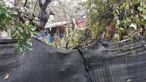 Discarica a cielo aperto vicino alla scuola materna: “Aree verdi abbandonate, strade dissestate. Le istituzioni assenti” Discarica a cielo aperto vicino alla scuola materna: “Aree verdi abbandonate, strade dissestate. Le istituzioni assenti”