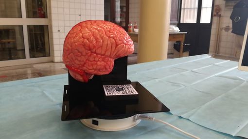 Simulatore neurochirurgia