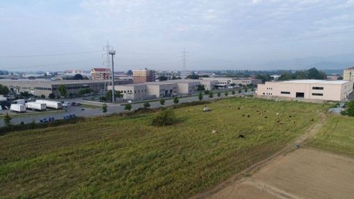 A Nichelino un nuovo sito di stoccaggio alimentare: in arrivo 200 posti di lavoro