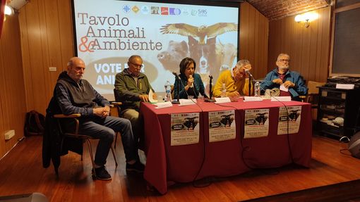 Il decalogo degli animalisti per le elezioni regionali Il decalogo degli animalisti per le elezioni regionali