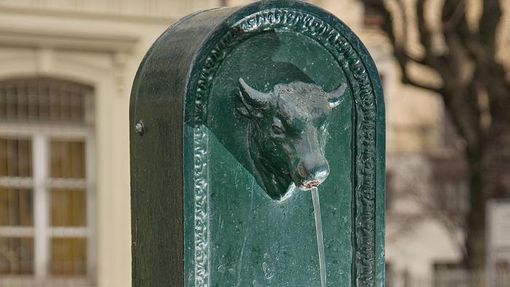 San Donato, il toret in piazza Paravia si può fare ma solo al posto di un altro San Donato, il toret in piazza Paravia si può fare ma solo al posto di un altro